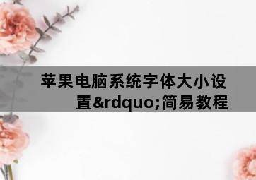 苹果电脑系统字体大小设置”简易教程 苹果电脑系统字体大小设置”简易教程-图片2